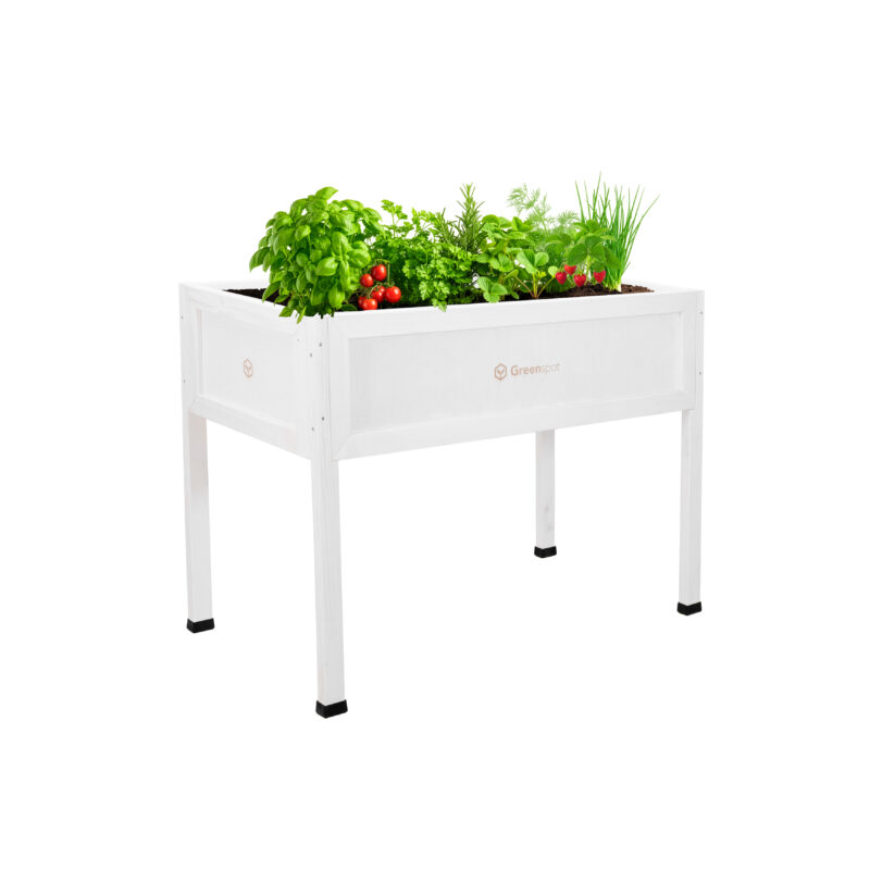 Zielnik podwyższony Vintage